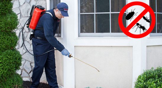 Uludere Fare İlaçlama böcek ilaçlama ve haşere kontrolü — ilaclama-tr.com
